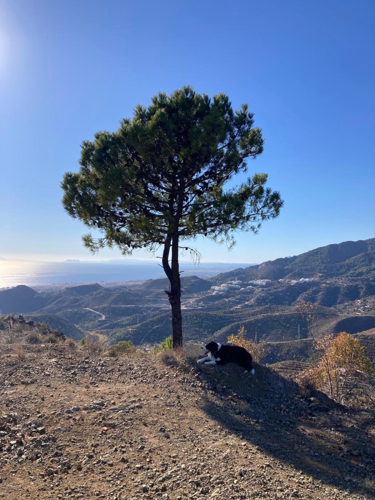 El Nido By Bh Marbella Lejlighed Eksteriør billede